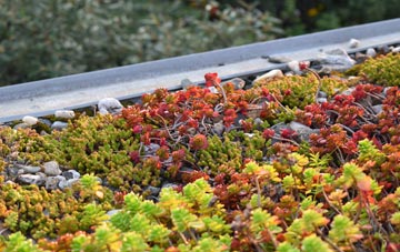 the cost of Ower green roof installation